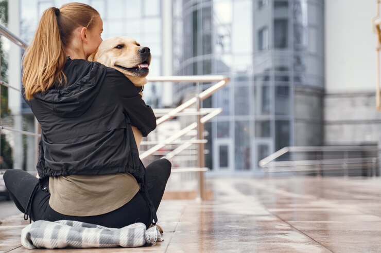 Allegiant Pet Policy